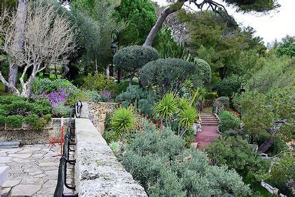 Le Jardin botanique de Jena : Un havre de paix verdoyant et un paradis pour les passionnés de flore!