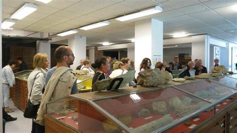 Le Musée du Géologie de Qitaihe: Une Exploration Fascinante des Trésors Fosiles de la Région!