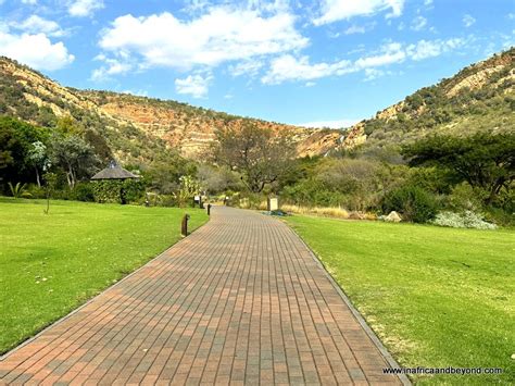 Le Walter Sisulu National Botanical Garden: Une oasis verdoyante au cœur de l'Afrique du Sud !